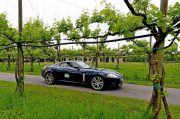 Le Jaguar nella zona del Prosecco e Cartize (94/152)